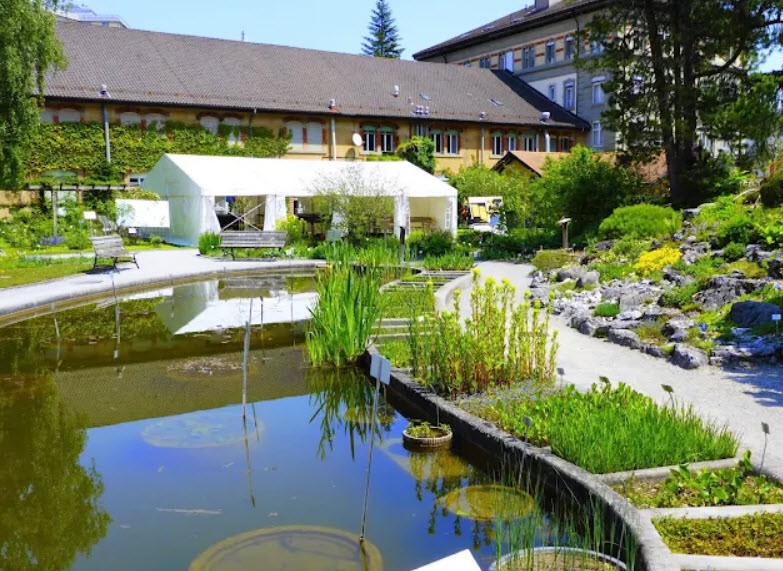 Fribourg University Botanical Garden, Fribourg, Switzerland, Switzerland